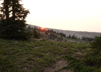 De Timberline Lodge au pont des Dieux